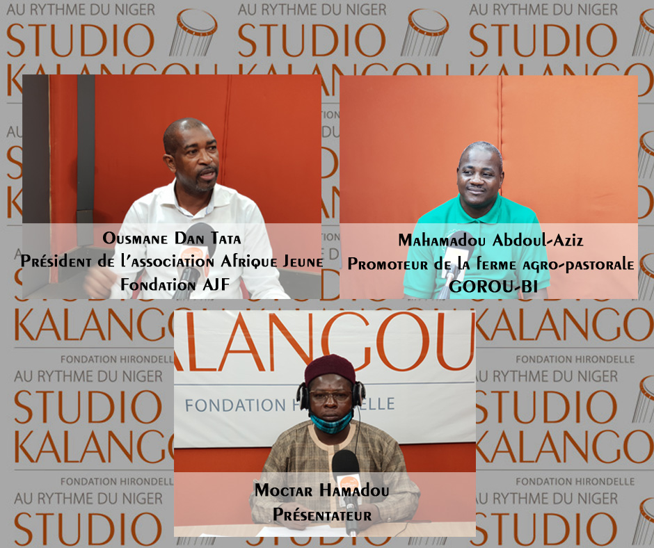 Production du moringa au Niger : enjeux, défis, et opportunités