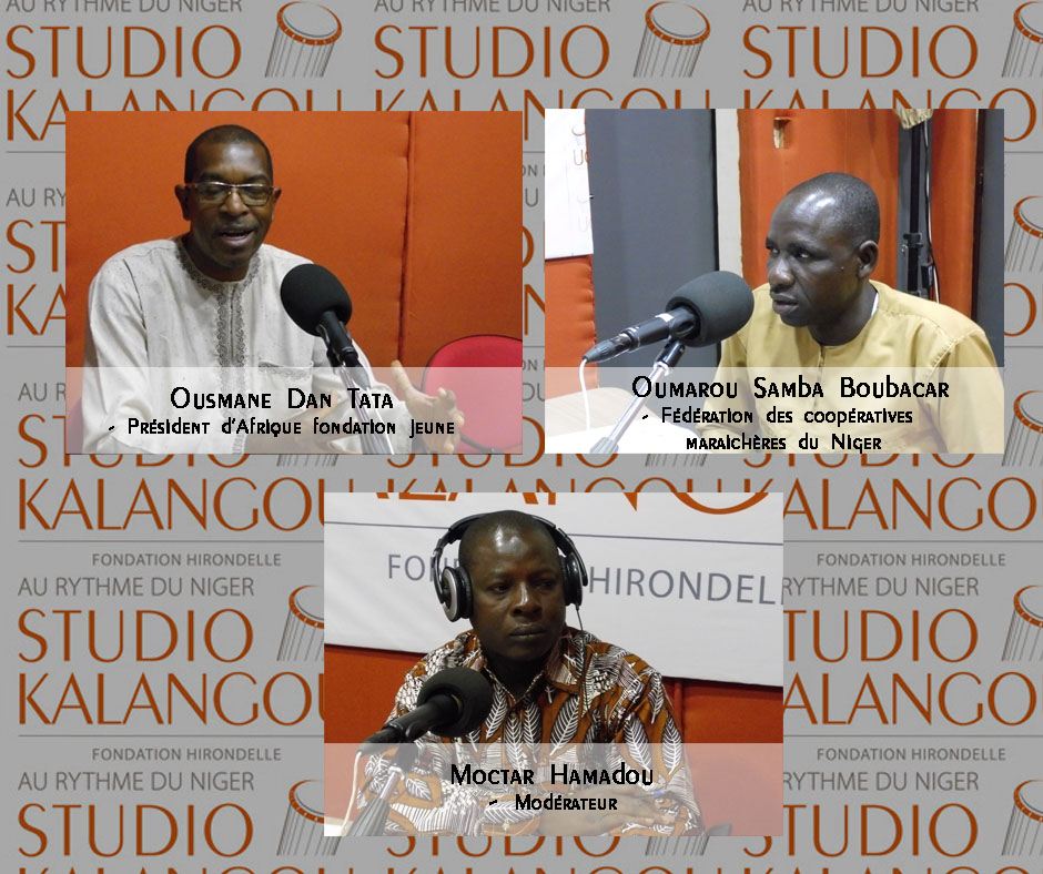 Le forum du 01/08/2019 – Productions maraichères sur l’année au Niger: quels sont les obstacles et solutions possibles ?