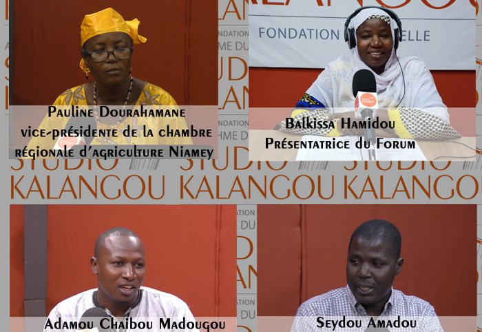 Promotion du compost au Niger : enjeux et défis