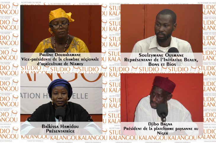 Promotion des produits bio au Niger : enjeux, défis et difficultés