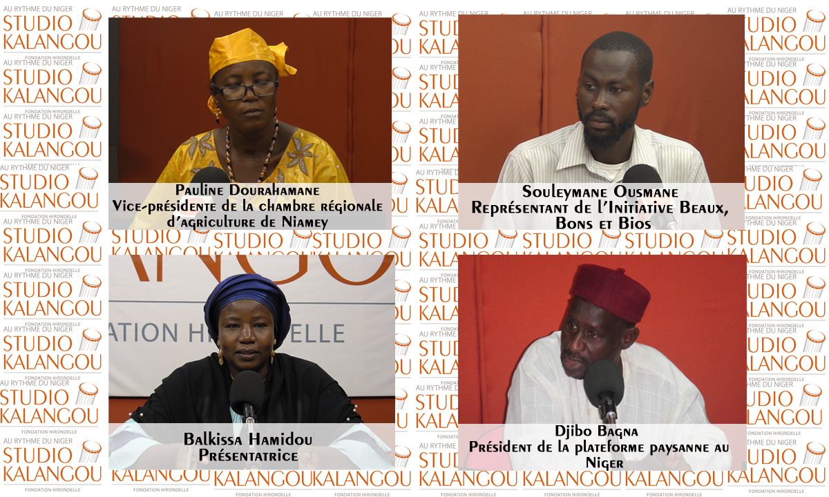 Promotion des produits bio au Niger : enjeux, défis et difficultés