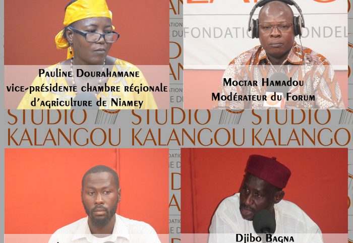 Promotion des produits bio au Niger : enjeux, défis et difficultés