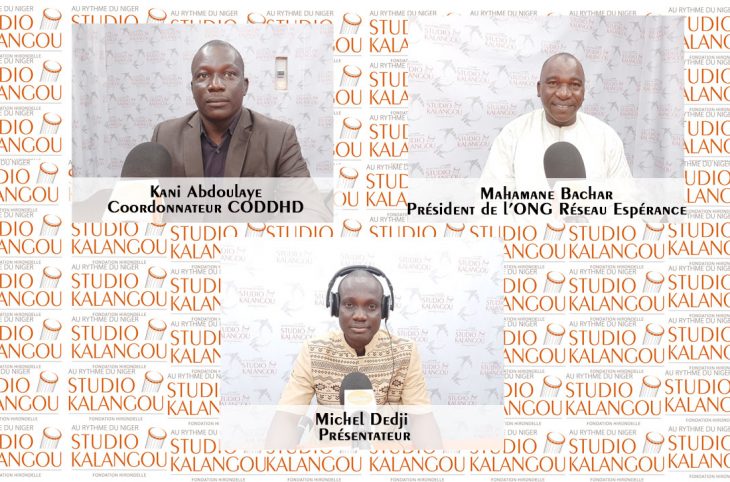Quelles voies de recours pour un règlement des contentieux électoraux au Niger ?
