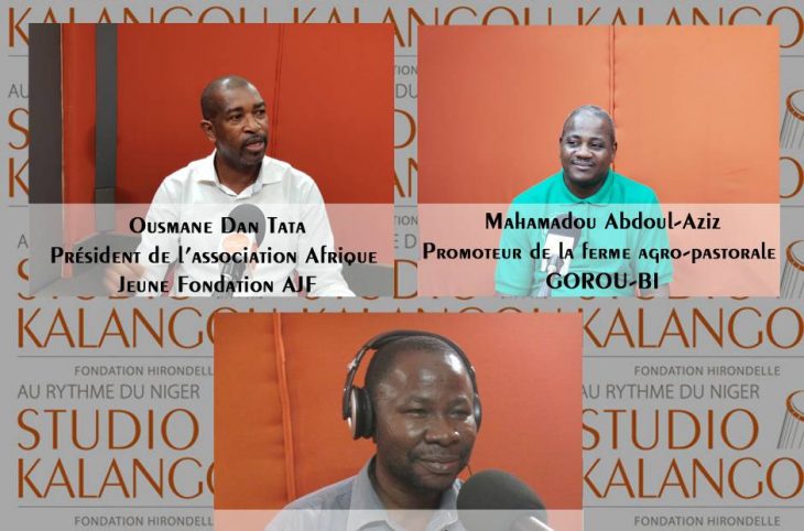 [Rediffusion] Production du moringa au Niger : enjeux, défis, et opportunités