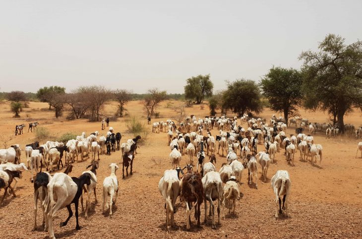 Le Niger sur Kalangou du 03 avril 2025