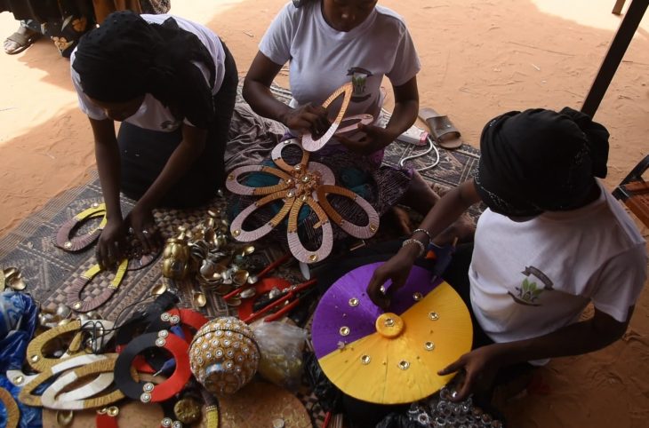 La réinsertion sociale des enfants guides mendiants au Niger