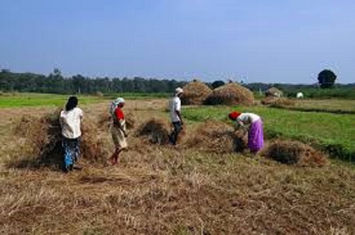 Forum en Zerma du 27/5/2018 : « La production du riz hors aménagement au Niger ».