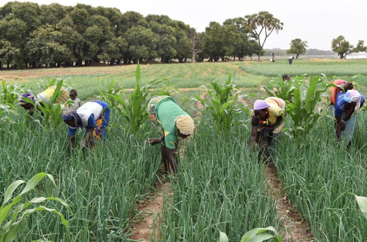 Les rurales, des femmes battantes