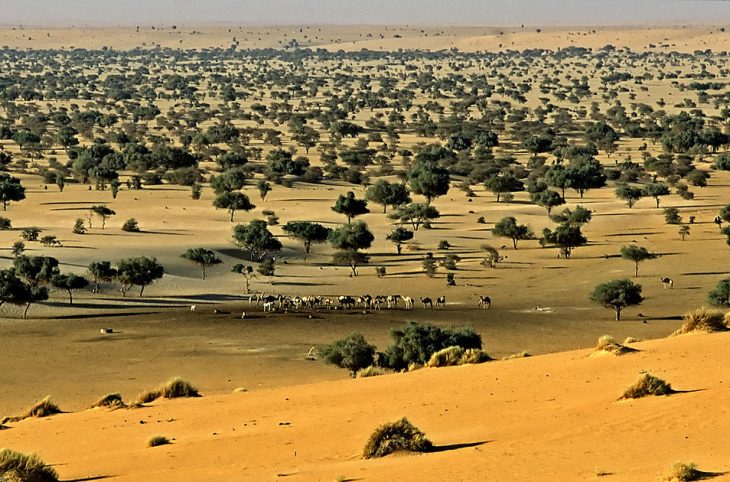 Le magazine du 17/12/2018 - Gestion des réserves de Termit et Tintuma : le Niger signe une convention avec l’ONG Noé