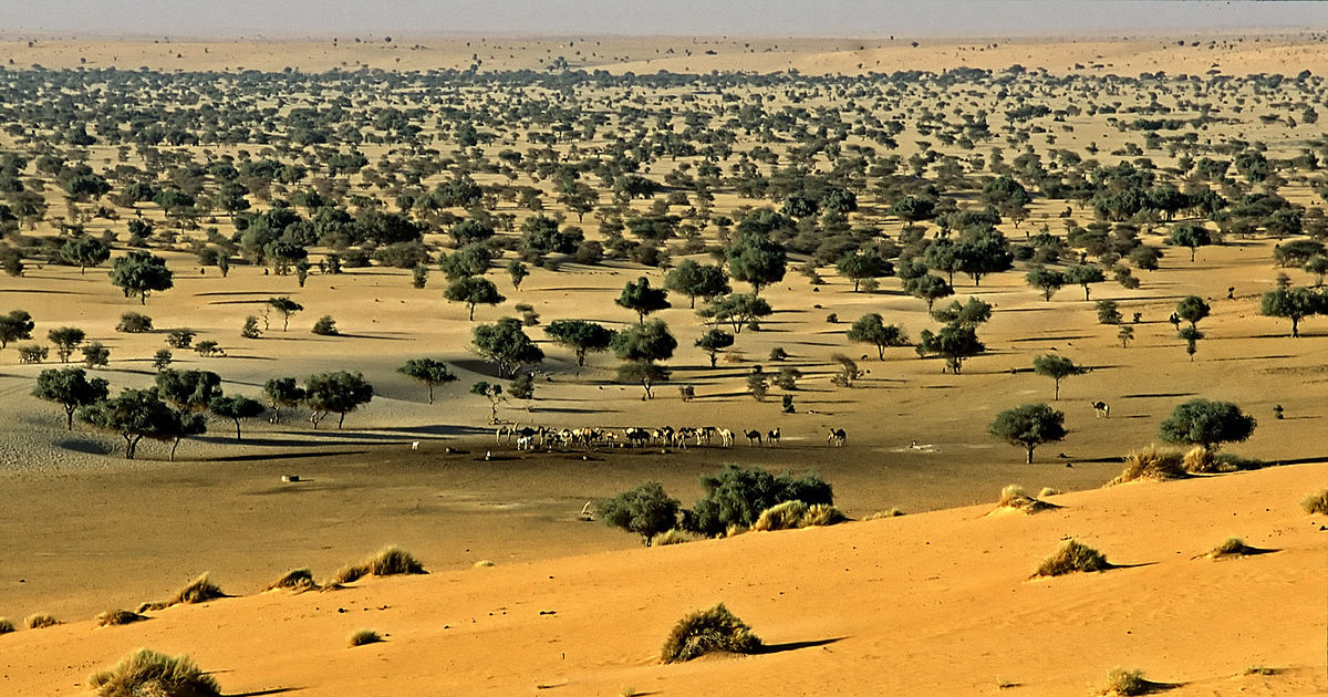 Le magazine du 17/12/2018 – Gestion des réserves de Termit et Tintuma : le Niger signe une convention avec l’ONG Noé