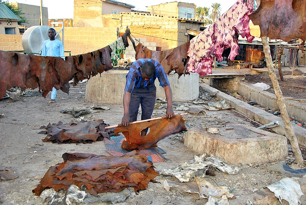 Niamey : à l’occasion de la Tabaski la collecte des peaux de mouton atteint son pic