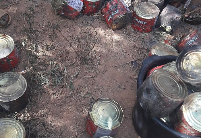 Niamey / Des habitants récupèrent, dans une carrière, de  la tomate avariée pour leur consommation