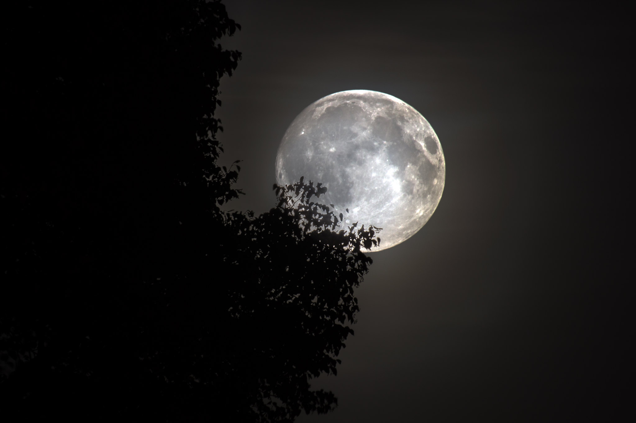 Tour du monde des rites et croyances autour de la pleine Lune