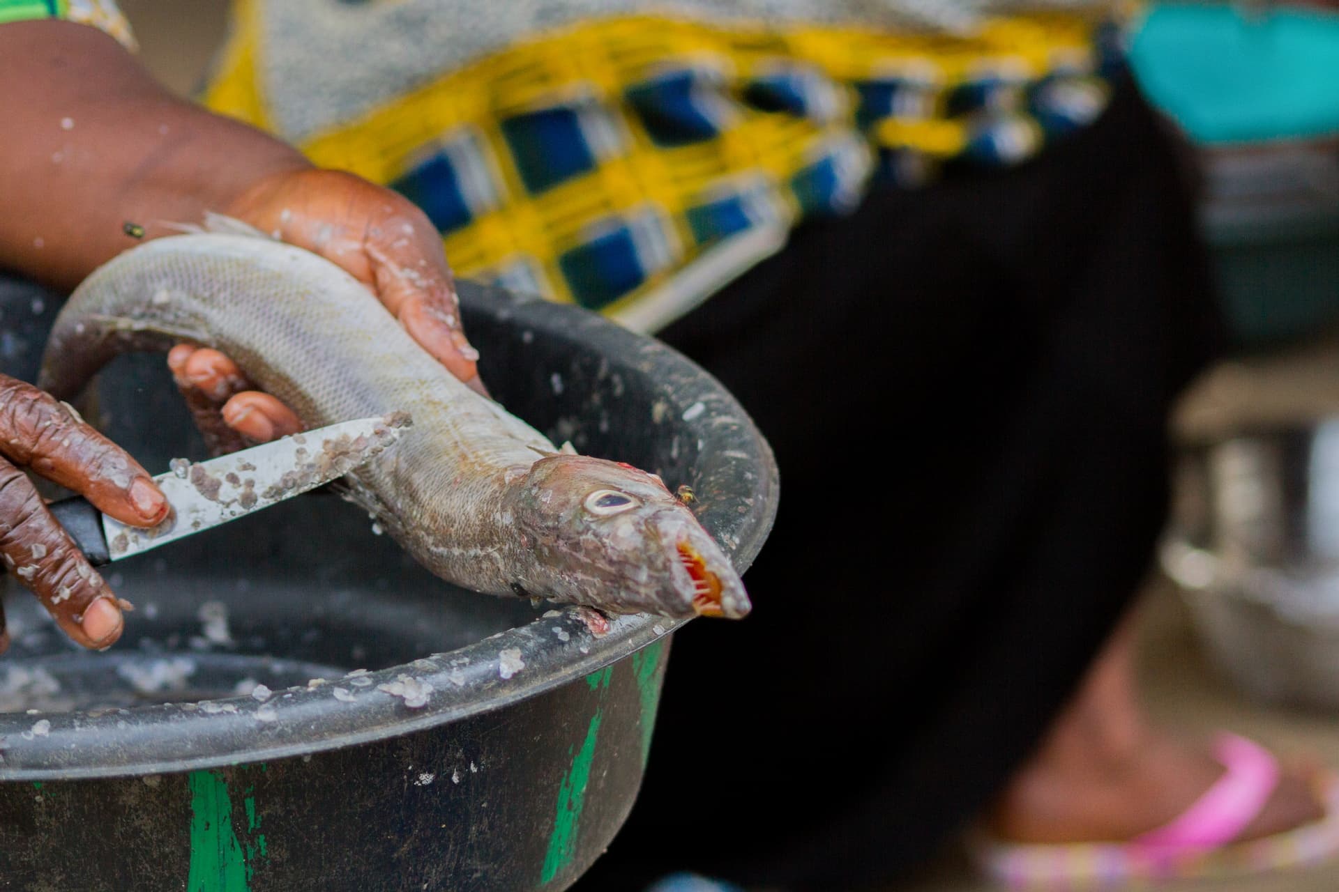 Zoom sur une vendeuse de poisson de la région de Tillabéry qui vit de son commerce
