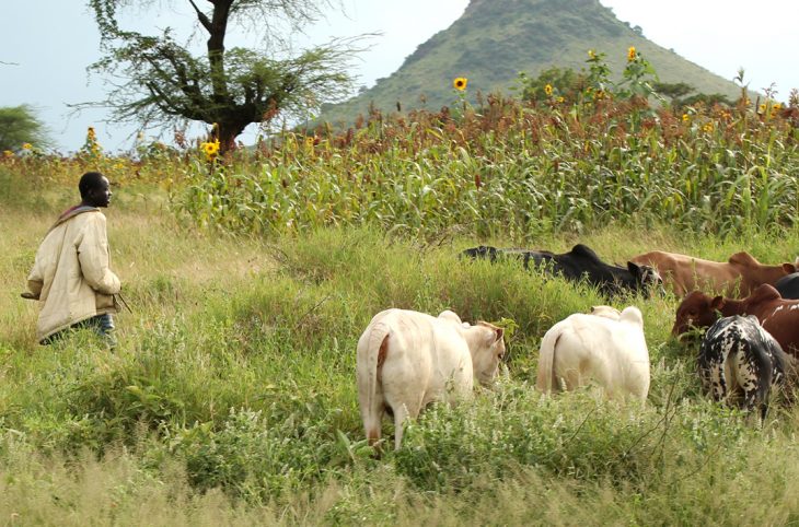 Le magazine du 14/08/2018 - Ayorou : le préfet s’exprime sur la sécurité, la campagne agricole et le pastoralisme